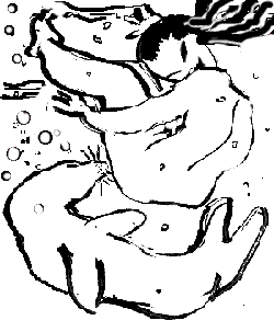 phoquesse.GIF (6064 octets)